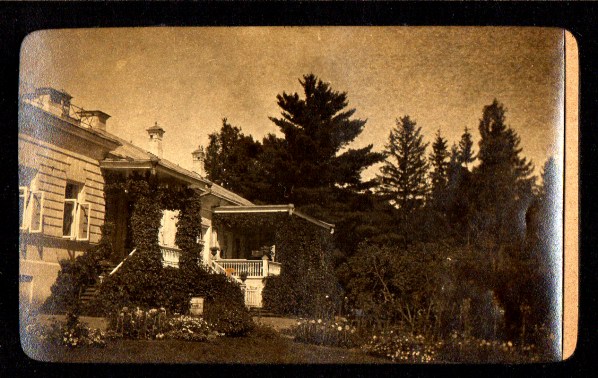 Petrovskoe3